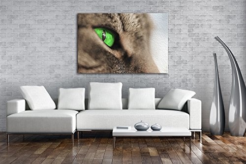 wundervolle Katze mit grünen Augen Effekt: Zeichnung...