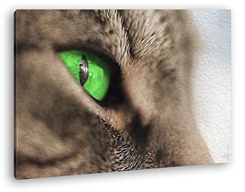 wundervolle Katze mit grünen Augen Effekt: Zeichnung im Format: 100x70 als Leinwandbild, Motiv fertig gerahmt auf Echtholzrahmen, Hochwertiger Digitaldruck mit Rahmen, Kein Poster oder Plakat