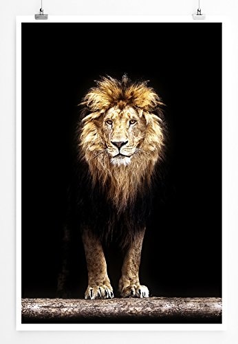 Eau Zone Bilder - Tierbilder - Löwe in der Dunkelheit- Leinwand Kunstdrucke Wandbilder aus Deutschland