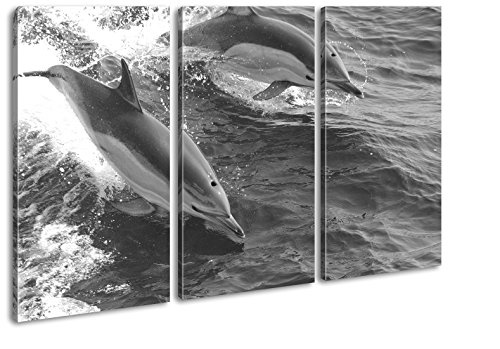 deyoli Verspieltes Delphin Paar Effekt: Schwarz/Weiß Format: 3-teilig 120x80 als Leinwandbild, Motiv fertig gerahmt auf Echtholzrahmen, Hochwertiger Digitaldruck mit Rahmen, Kein Poster oder Plakat