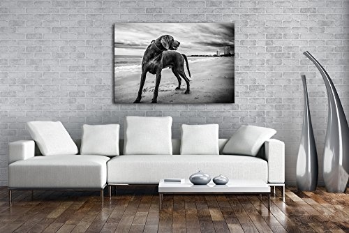 deyoli großer Hund am Strand Effekt: Schwarz/Weiß Format: 60x40 als Leinwandbild, Motiv fertig gerahmt auf Echtholzrahmen, Hochwertiger Digitaldruck mit Rahmen, Kein Poster oder Plakat