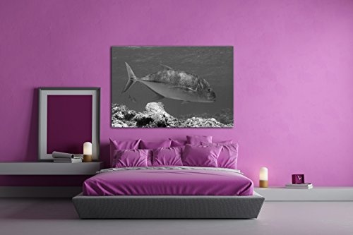 deyoli Blauer Fisch im klaren Wasser Effekt: Schwarz/Weiß Format: 120x80 als Leinwandbild, Motiv fertig gerahmt auf Echtholzrahmen, Hochwertiger Digitaldruck mit Rahmen, Kein Poster oder Plakat