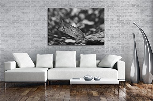 deyoli Kleiner Gepunkteter Fisch im Meer Effekt: Schwarz/Weiß Format: 60x40 als Leinwandbild, Motiv fertig gerahmt auf Echtholzrahmen, Hochwertiger Digitaldruck mit Rahmen, Kein Poster oder Plakat