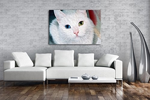 Exotische Katze mit verschiedenen Augenfarben Effekt: Zeichnung Format: 80x60 als Leinwandbild, Motiv fertig gerahmt auf Echtholzrahmen, Hochwertiger Digitaldruck mit Rahmen, Kein Poster oder Plakat