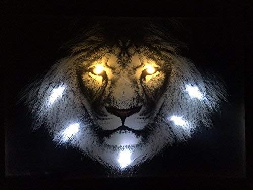 Samarkand-Lights LED-Bild mit Beleuchtung LED- Bilder Leinwandbild 65 x 45 cm Leuchtbild LÖWE Wandbild