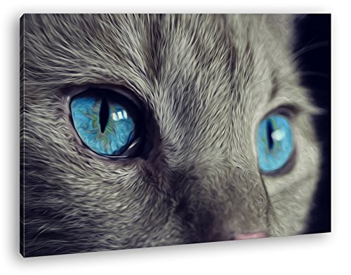 deyoli Katze mit wunderschönen blauen Augen Effekt: Zeichnung Format: 80x60 als Leinwandbild, Motiv fertig gerahmt auf Echtholzrahmen, Hochwertiger Digitaldruck mit Rahmen, Kein Poster oder Plakat