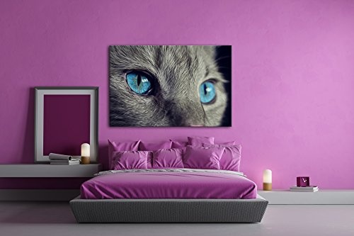 deyoli Katze mit wunderschönen blauen Augen Effekt: Zeichnung Format: 80x60 als Leinwandbild, Motiv fertig gerahmt auf Echtholzrahmen, Hochwertiger Digitaldruck mit Rahmen, Kein Poster oder Plakat